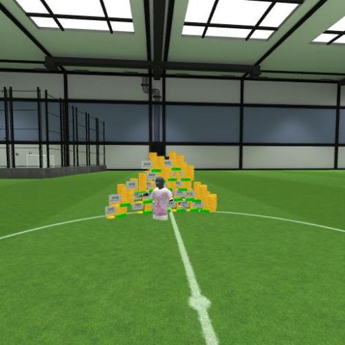 Arena Image