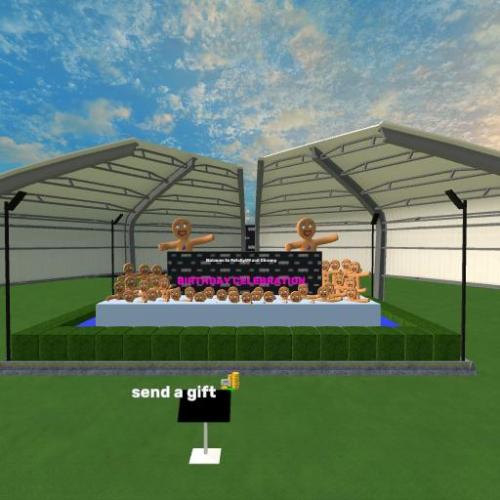 Arena Image