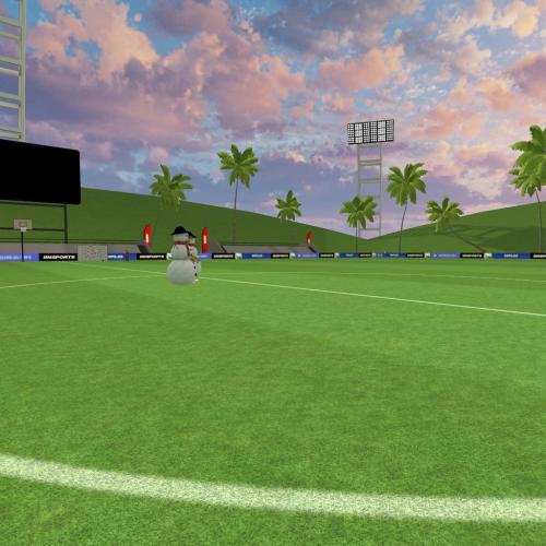 Arena Image