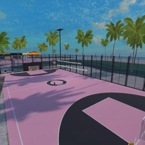 Arena Image