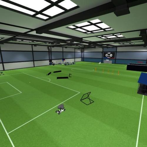 Arena Image