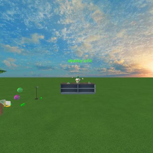 Arena Image