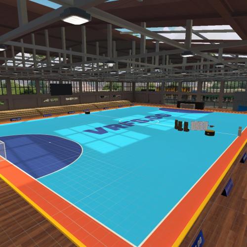 Arena Image