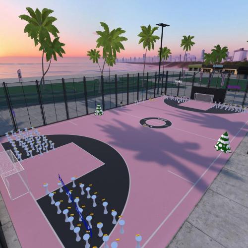 Arena Image