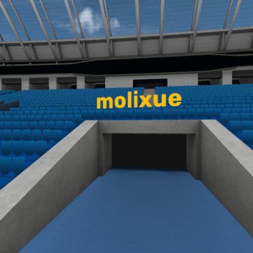 Arena Image