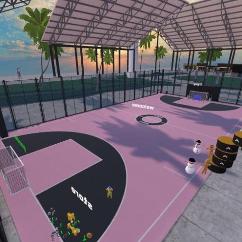 Arena Image