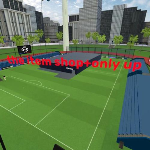 Arena Image