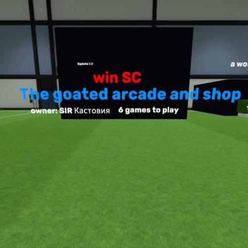 Arena Image
