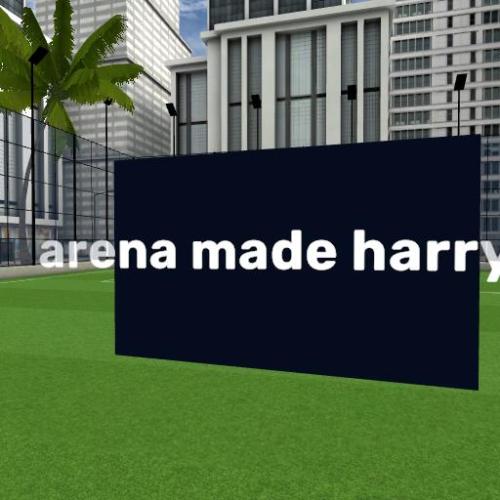 Arena Image