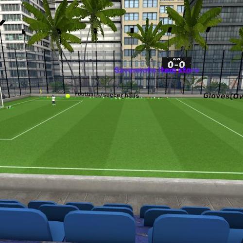 Arena Image