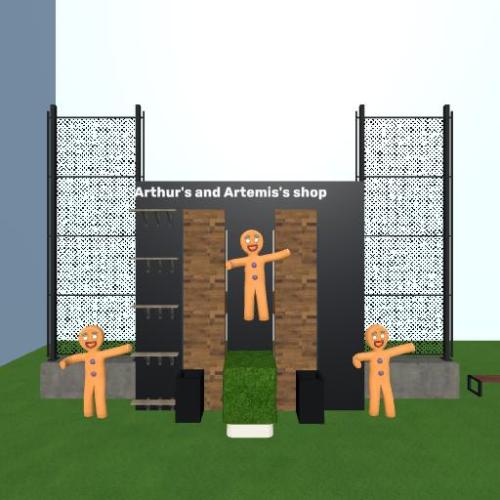 Arena Image