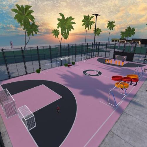Arena Image
