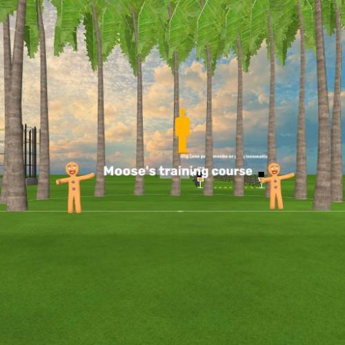 Arena Image