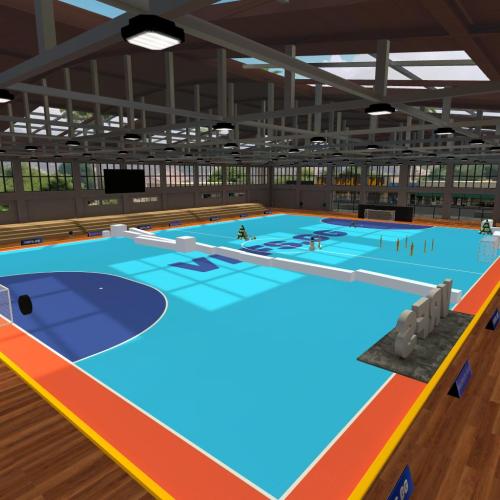 Arena Image
