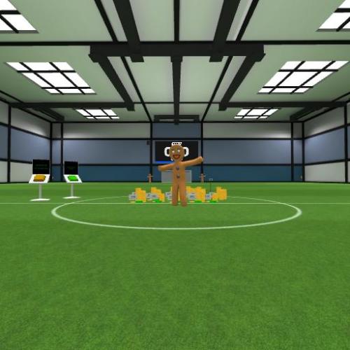 Arena Image