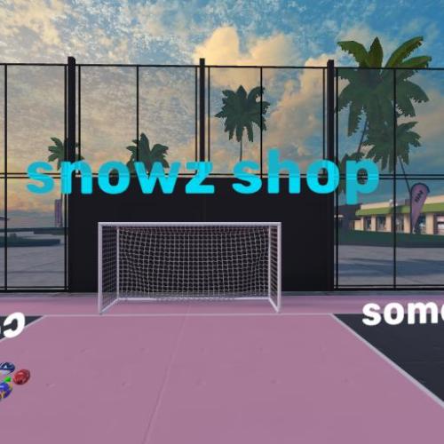 Arena Image