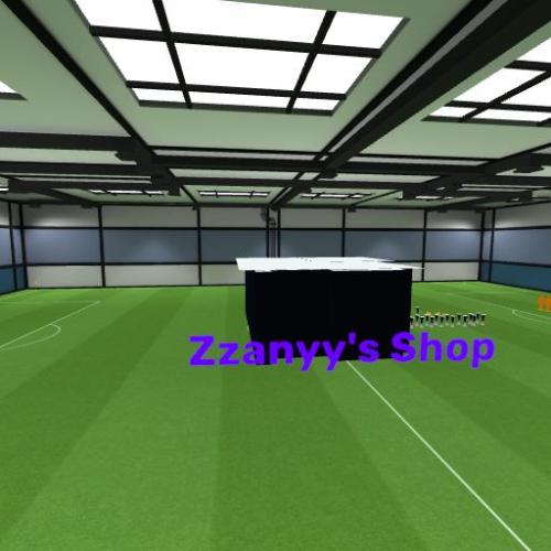 Arena Image