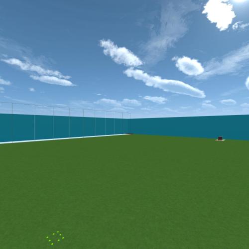 Arena Image