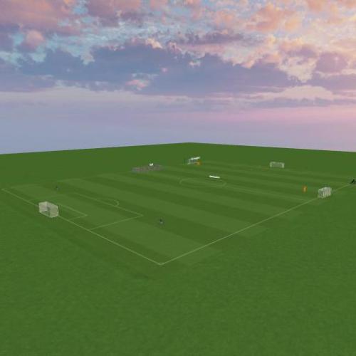 Arena Image