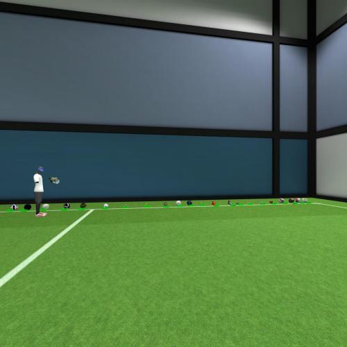 Arena Image