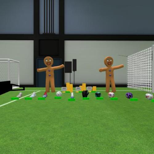 Arena Image