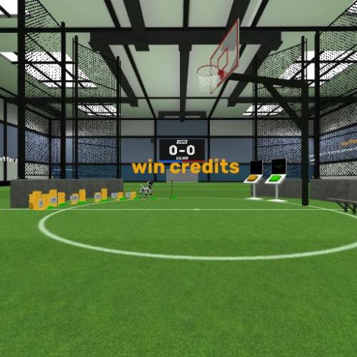Arena Image