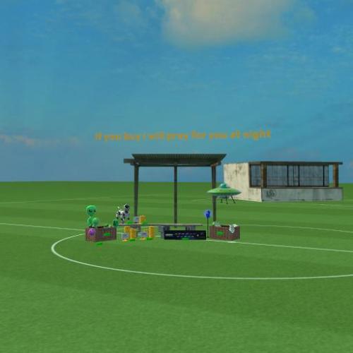 Arena Image