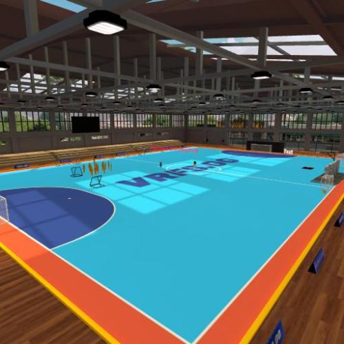 Arena Image