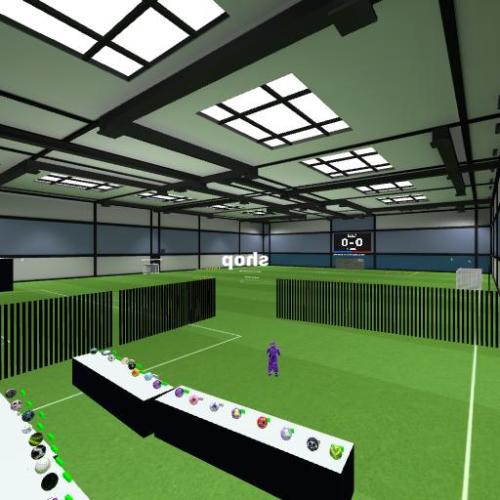 Arena Image