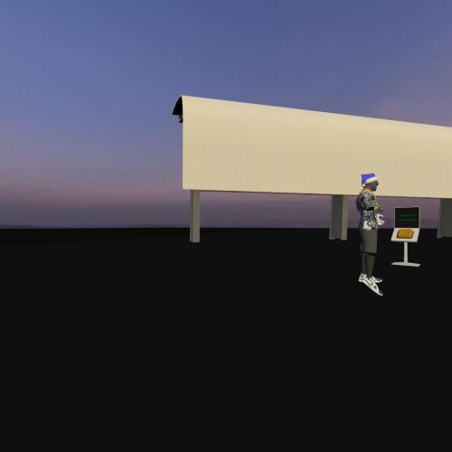 Arena Image