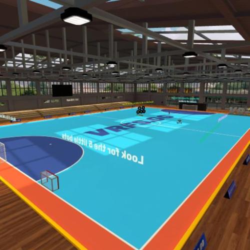 Arena Image