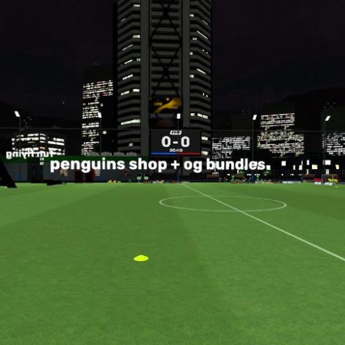 Arena Image