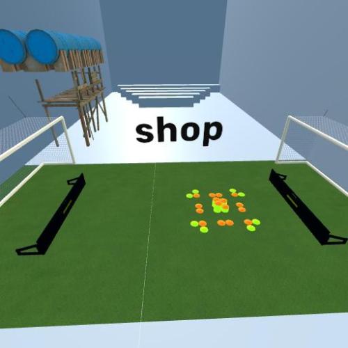 Arena Image