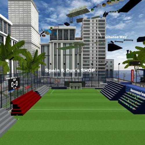 Arena Image