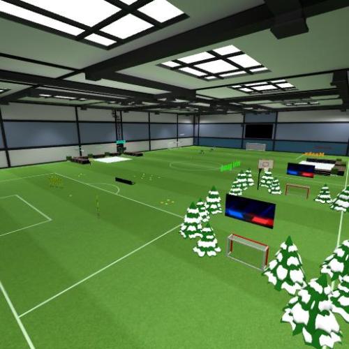 Arena Image