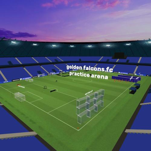 Arena Image