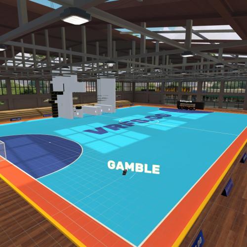 Arena Image