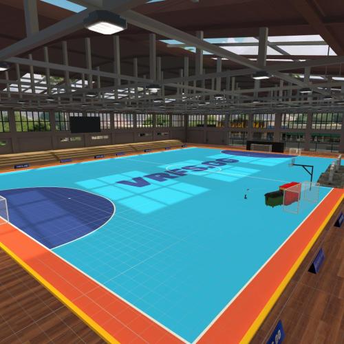 Arena Image