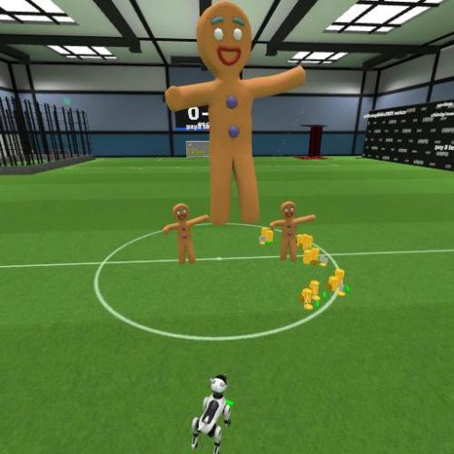 Arena Image
