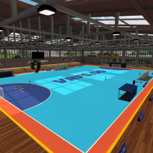 Arena Image