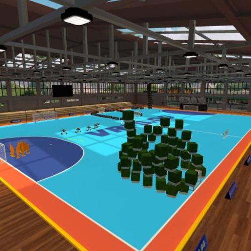 Arena Image
