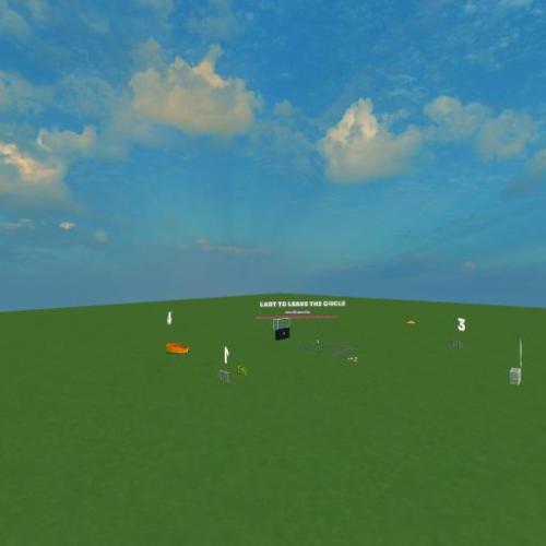 Arena Image