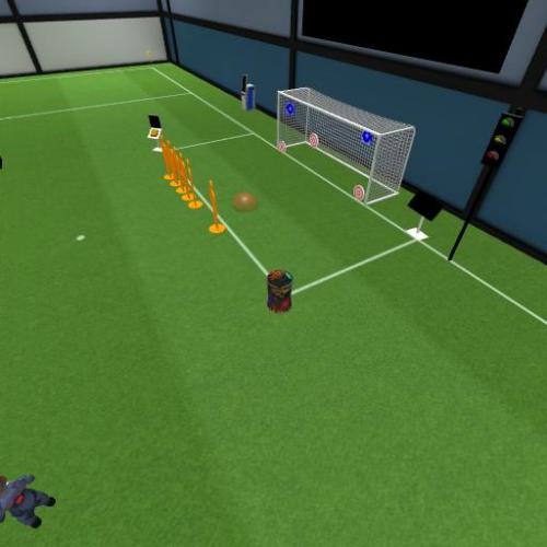 Arena Image