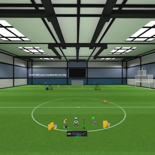 Arena Image