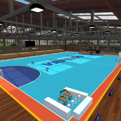 Arena Image
