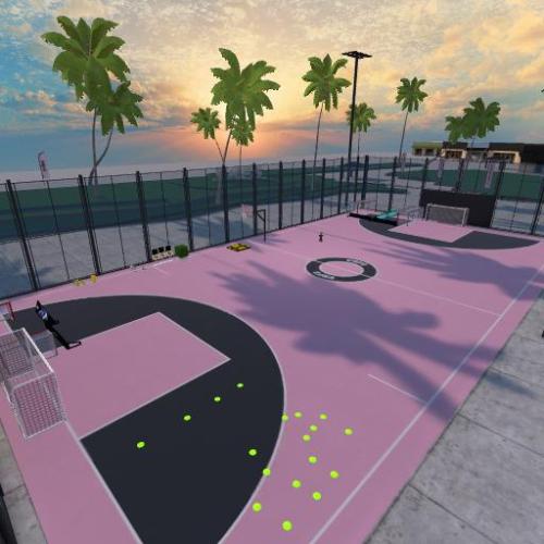 Arena Image