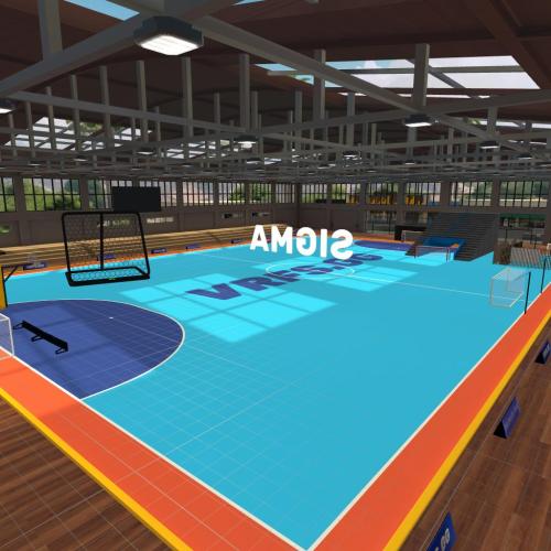 Arena Image