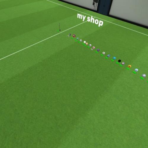 Arena Image