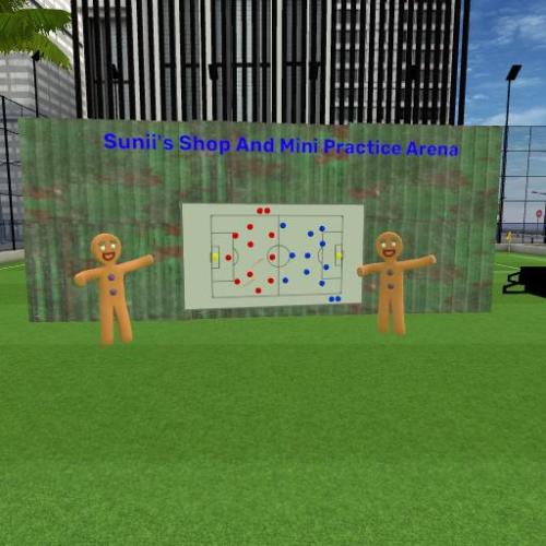 Arena Image
